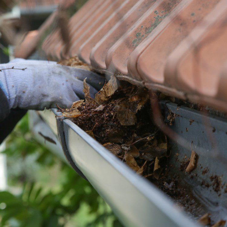 Power Cleaning in Lehi, UT